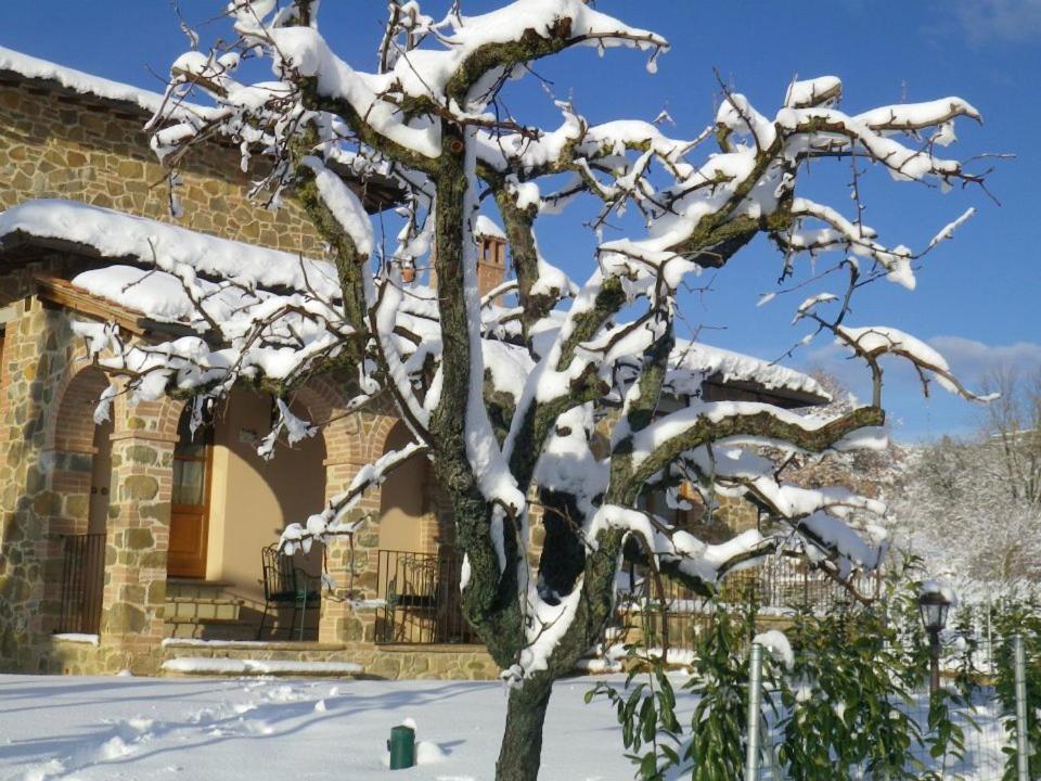 لوسيغنانو Agriturismo Casal Gheriglio المظهر الخارجي الصورة